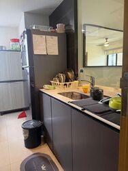 River Isles (D19), Condominium #604864901